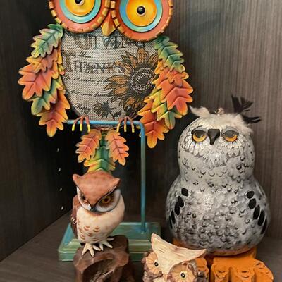 #129 (4) Owls Collection