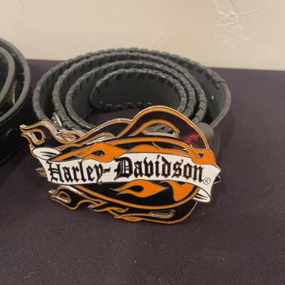 #314 2 Harley Davidson Belts with Buckles