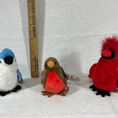 Set of 3 TY Beanie Baby Bird Plush Stuffed Animals