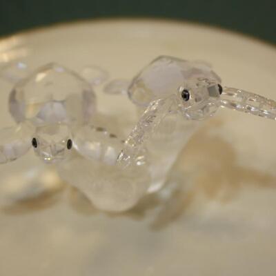 Swarovski Baby Sea Turtles - (JS/LG)