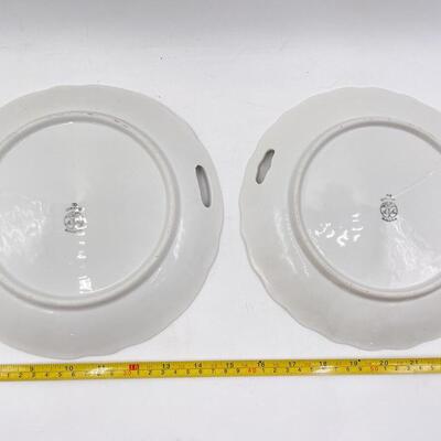 VINTAGE OREMONT BAVARIA 9.5â€ PEACOCK & HIBISCUS DECORATIVE CHINA PLATES