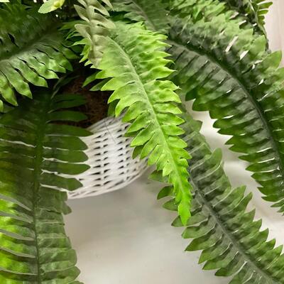 Lot 443  Two Silk Ferns