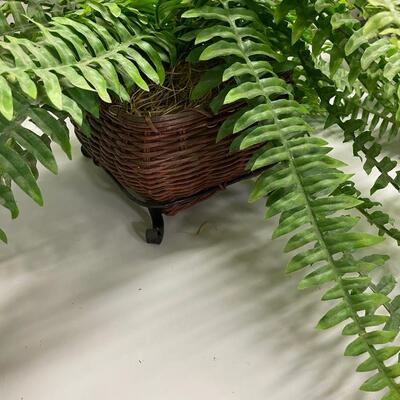 Lot 443  Two Silk Ferns
