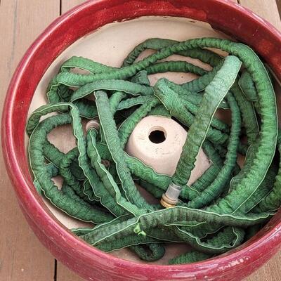 Lot 163: Water Hose Storage Pot Ceramic w/ Hose 