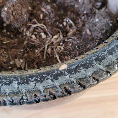 Lot 232: TRI STATE POTTERY Garden Flower Pot 