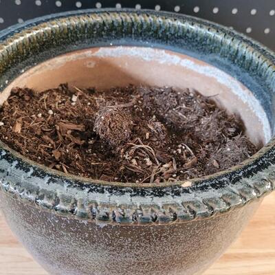 Lot 232: TRI STATE POTTERY Garden Flower Pot 