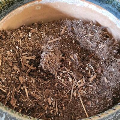 Lot 232: TRI STATE POTTERY Garden Flower Pot 