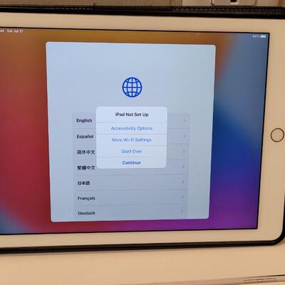 Lot 263: CLEARED Apple iPad AIR Works w/ Case and Charger (No Apple ID Associated)