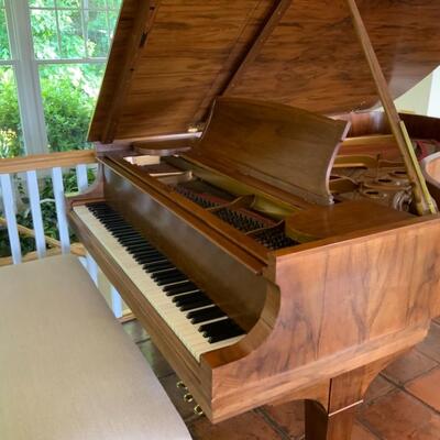 1909 STEINWAY 7â€™ PATENT GRAND PIANO (Restored)