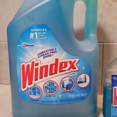 Lot 376: Windex Refill and Spray Bottle (See Lines for Level)