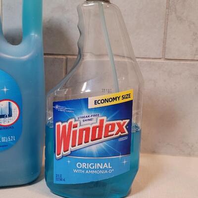 Lot 376: Windex Refill and Spray Bottle (See Lines for Level)