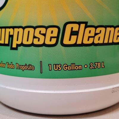 Lot 378: SIMPLE GREEN All Purpose Cleaner + Spray Bottle (See Line for Level)