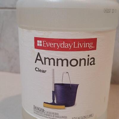 Lot 382: Bottle of Ammonia Cleaner (See Line for Level)