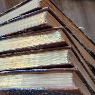 Lot 398: Late 1800's Book Lot (Terra Cotta Colored) Binding 