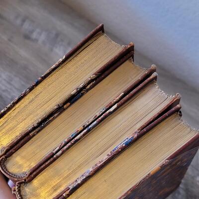 Lot 399: Late 1800's Book Lot (Redish Orange)