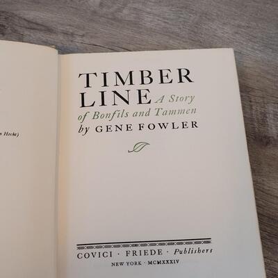 Lot 404: Book Lot Timber Line, Since Yesterday, The Valley of Decision