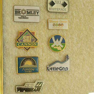 Lot 50: Vintage Collectible Ski Pins