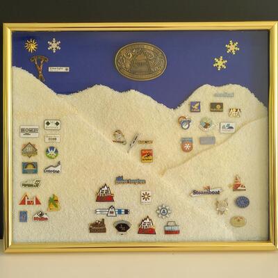 Lot 50: Vintage Collectible Ski Pins