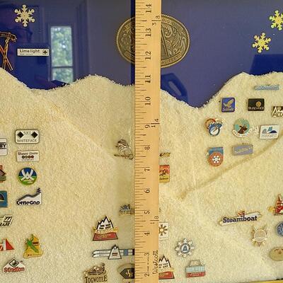 Lot 50: Vintage Collectible Ski Pins