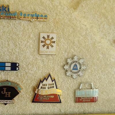 Lot 50: Vintage Collectible Ski Pins