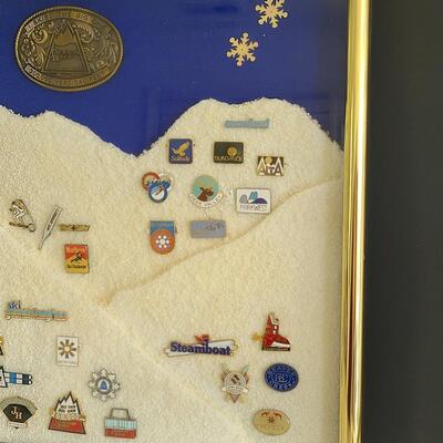 Lot 50: Vintage Collectible Ski Pins