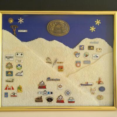 Lot 50: Vintage Collectible Ski Pins