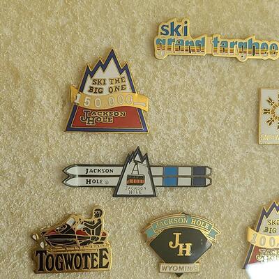 Lot 50: Vintage Collectible Ski Pins