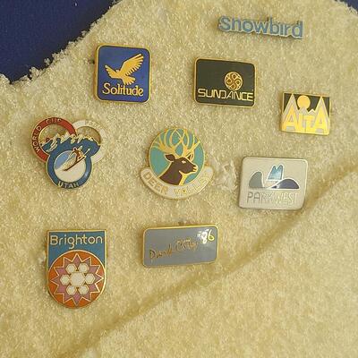 Lot 50: Vintage Collectible Ski Pins