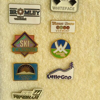 Lot 50: Vintage Collectible Ski Pins