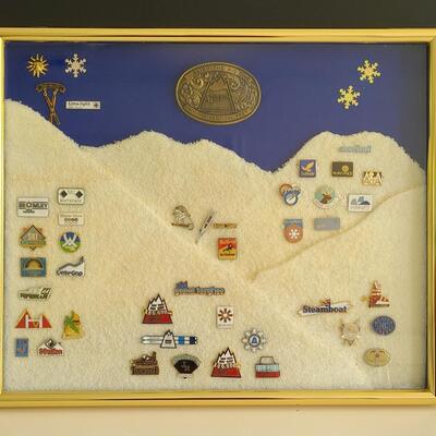 Lot 50: Vintage Collectible Ski Pins