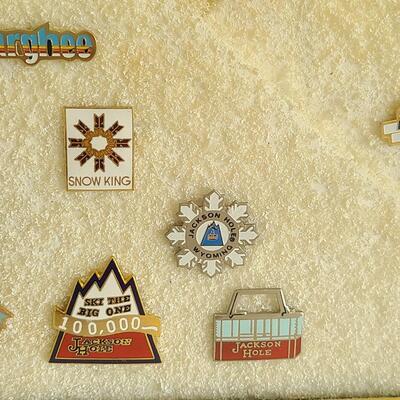 Lot 50: Vintage Collectible Ski Pins