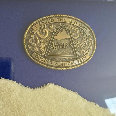 Lot 50: Vintage Collectible Ski Pins