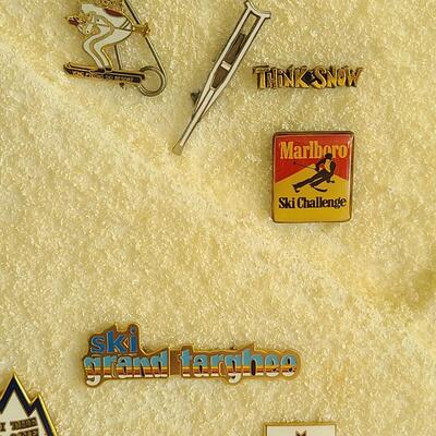 Lot 50: Vintage Collectible Ski Pins