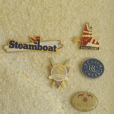 Lot 50: Vintage Collectible Ski Pins