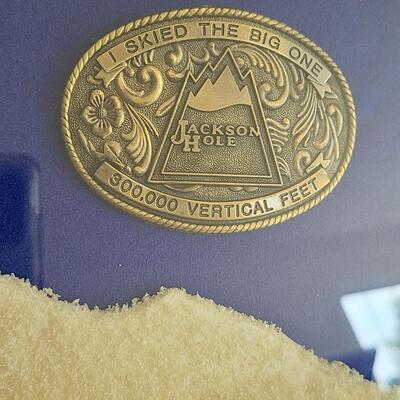 Lot 50: Vintage Collectible Ski Pins