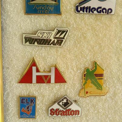 Lot 50: Vintage Collectible Ski Pins