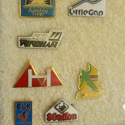 Lot 50: Vintage Collectible Ski Pins