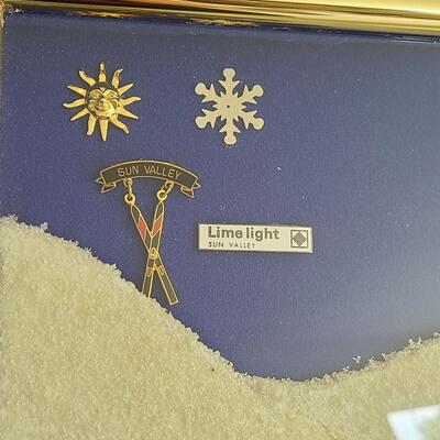 Lot 50: Vintage Collectible Ski Pins