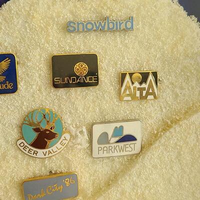 Lot 50: Vintage Collectible Ski Pins
