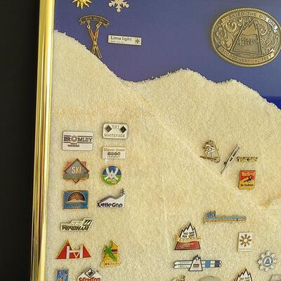 Lot 50: Vintage Collectible Ski Pins