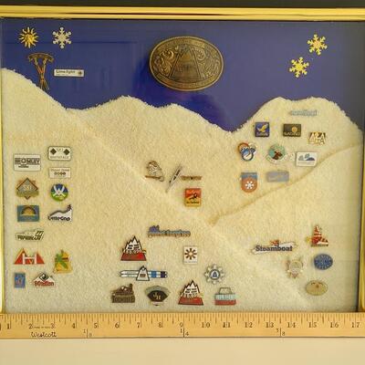 Lot 50: Vintage Collectible Ski Pins