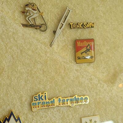 Lot 50: Vintage Collectible Ski Pins