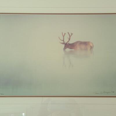 Lot 53: Signed Thomas Mangelsen "Morning Light" Bull Elk Artwork & More 