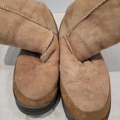Lot 435: EMU Ridge