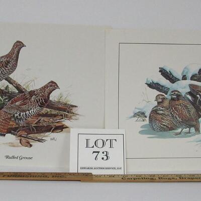 Vintage 1970s Wildlife Prints, USA, Ruffled Grouse and Quails