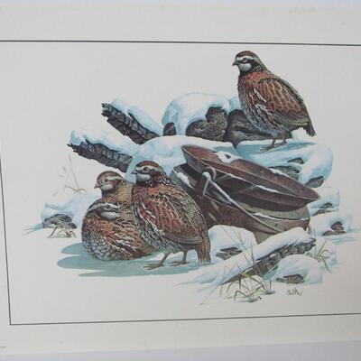 Vintage 1970s Wildlife Prints, USA, Ruffled Grouse and Quails