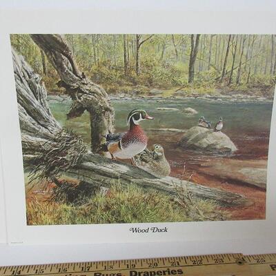 2 Vintage 1970s Wildlife Prints, USA, Elk and Wood Ducks