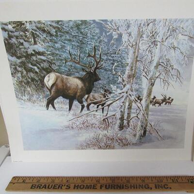2 Vintage 1970s Wildlife Prints, USA, Elk and Wood Ducks