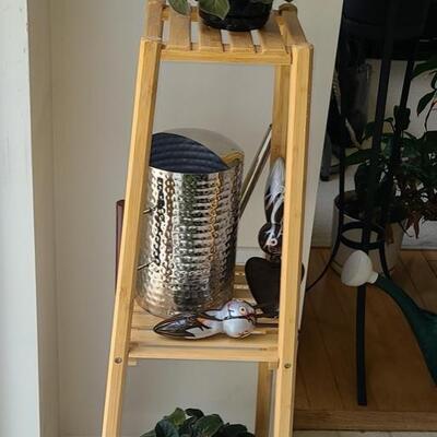 Lot 142: Plant Stand, Live Plants, Watering Can & Tools 
