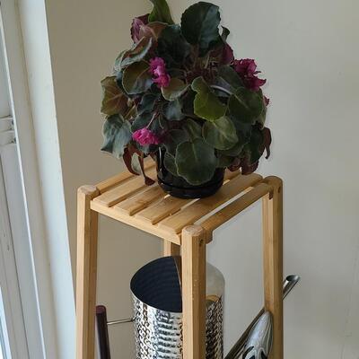 Lot 142: Plant Stand, Live Plants, Watering Can & Tools 